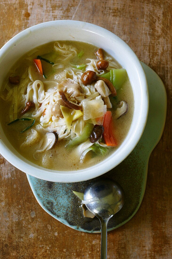 Suppe mit handgemachten Nudeln, Gemüse und Pilzen