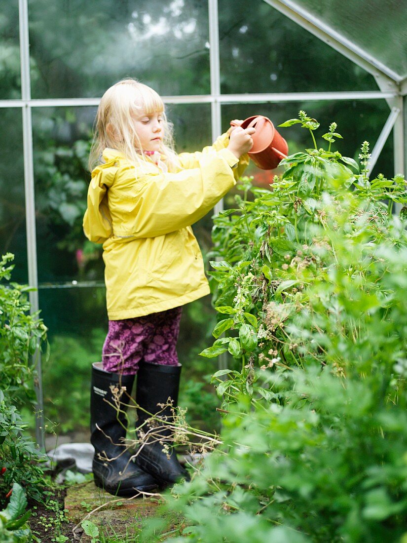 Mädchen giesst Pflanzen im Gewächshaus