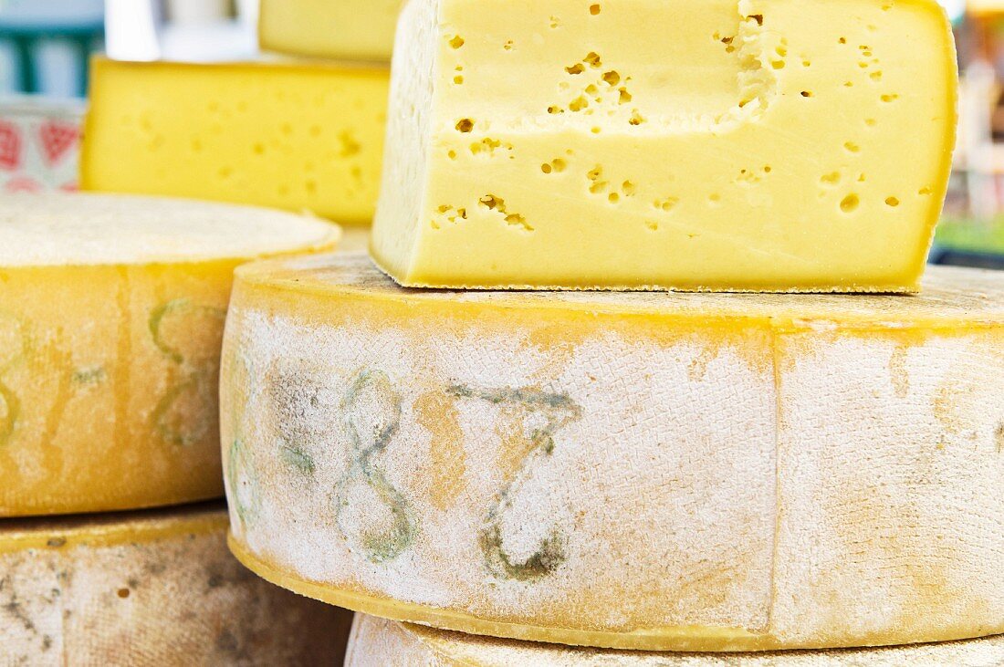 Sappada-Käse aus dem Veneto, Italien