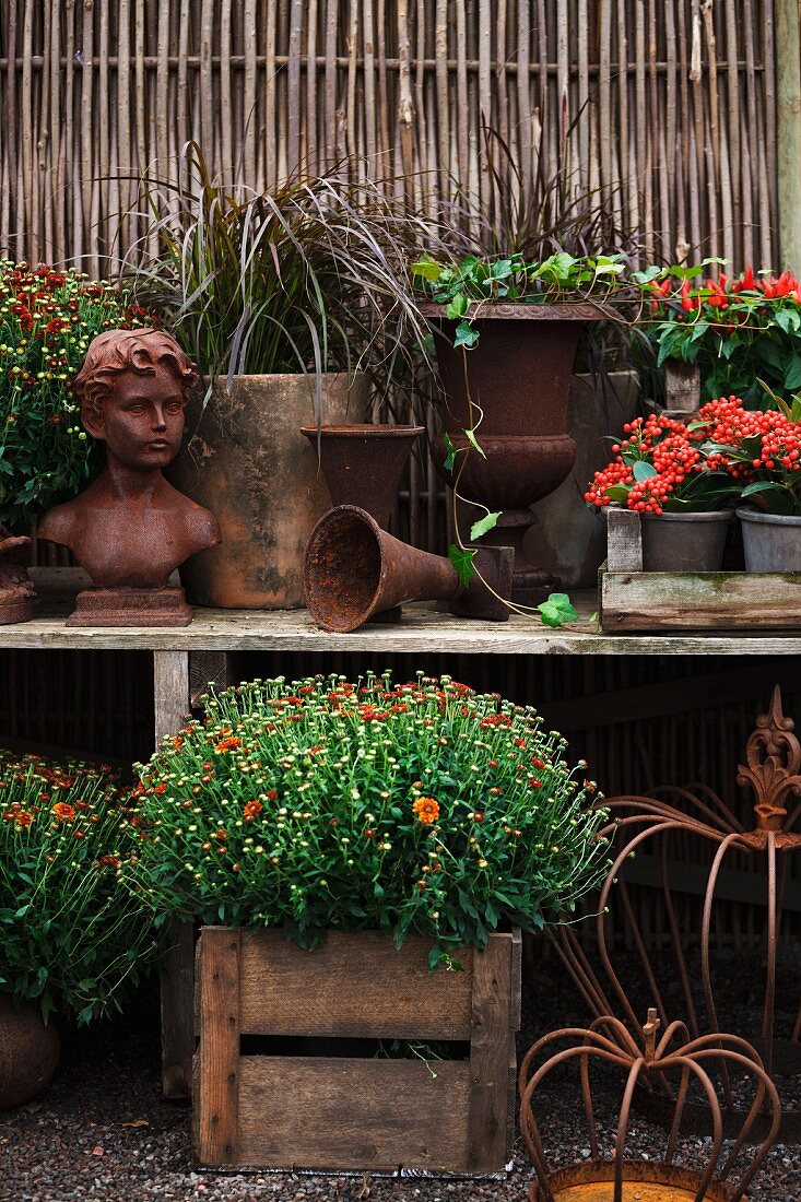 Bust, planters & flowering plants on table in garden