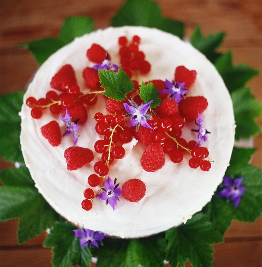 Raspberries and redcurrants with borage flowers on a plate