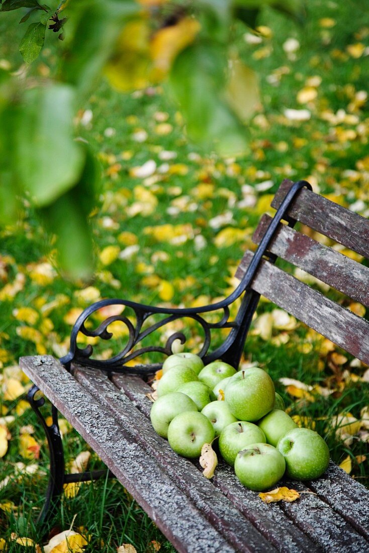 Green apples on weathered garden bench