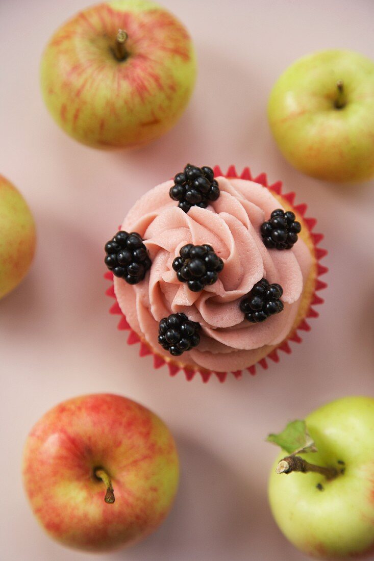 Cupcake mit Brombeeren, umgeben von frischen Äpfeln