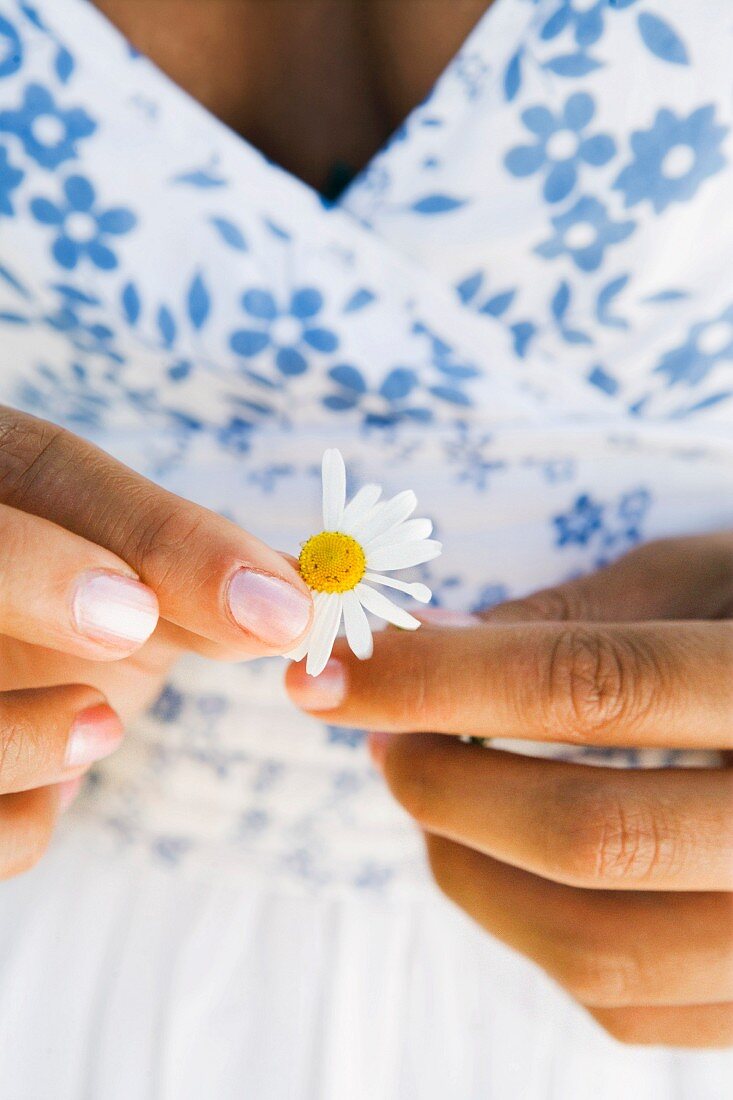 A woman with an oxeye daisy, Sweden