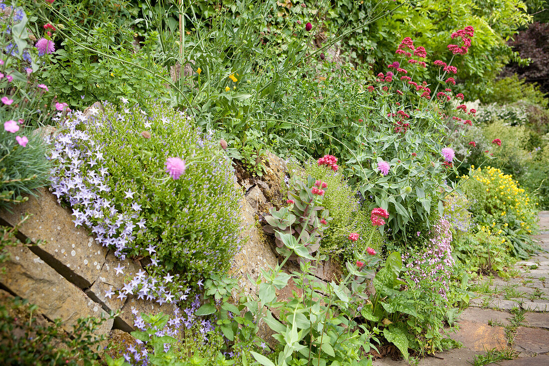 Flowering garden on slope