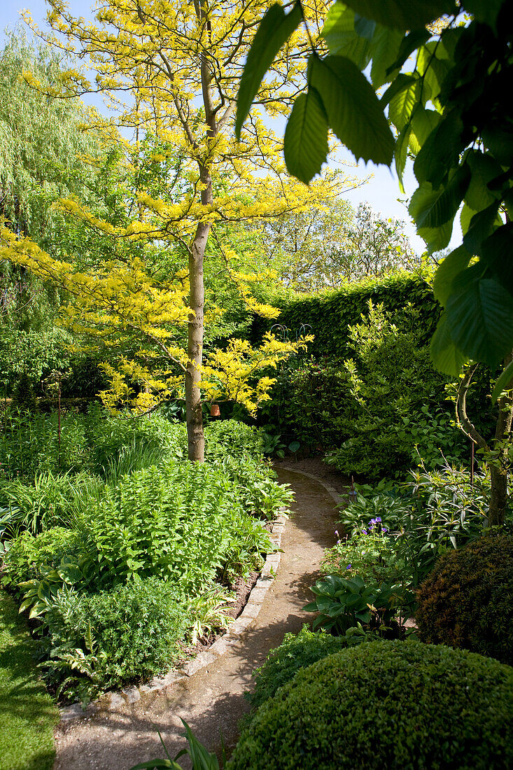 Sonnenbeschienener Gartenweg