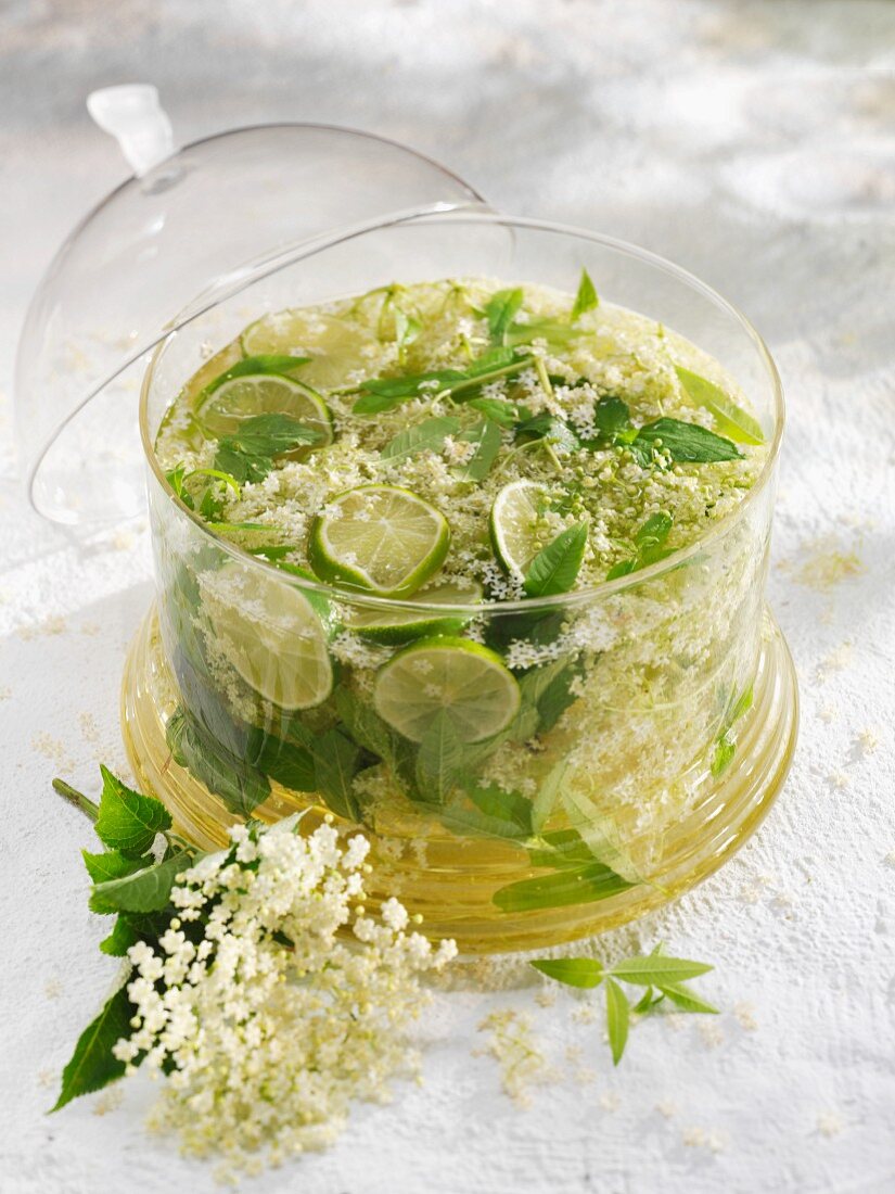 Elderflower cordial with herbs and lime