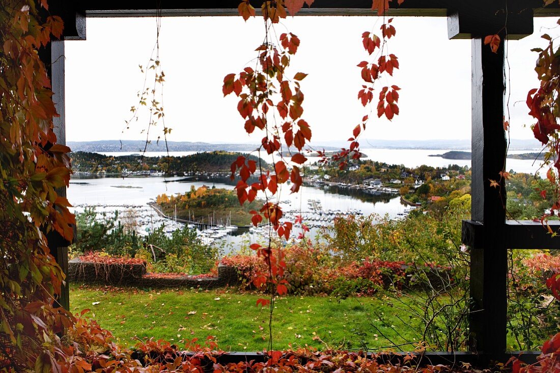 Blick durch weinberankte Verandastützen auf herbstlichen Garten an der norwegischen Schärenküste