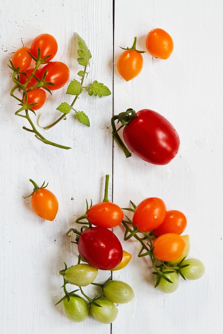 Tomato still life