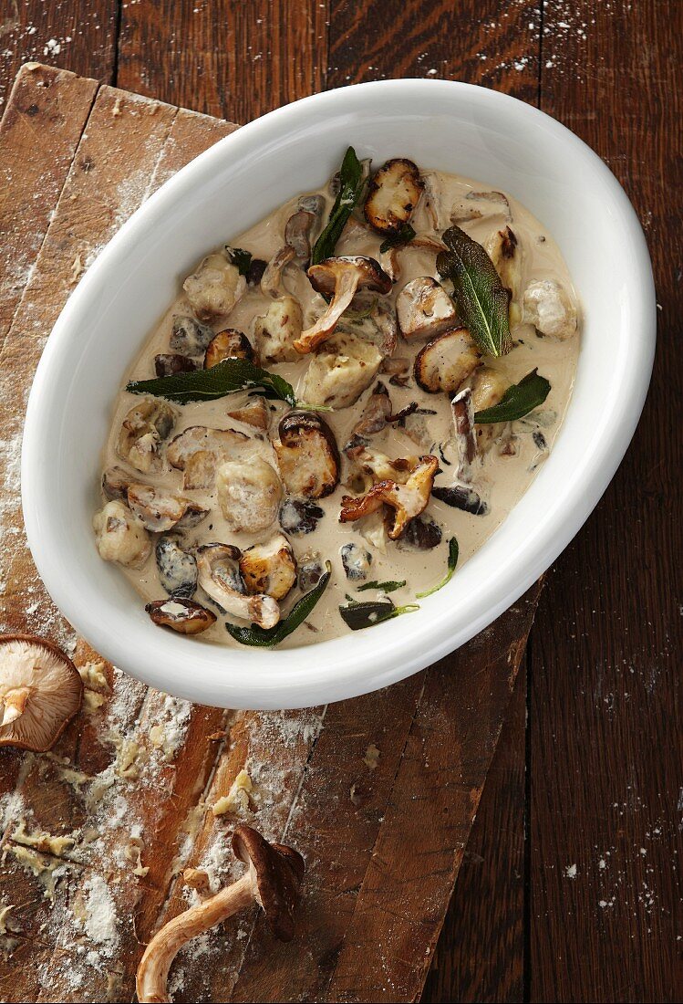 Gnocchi in a creamy mushroom sauce