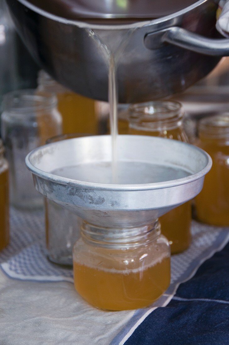 A jar being filled with elderflower jelly