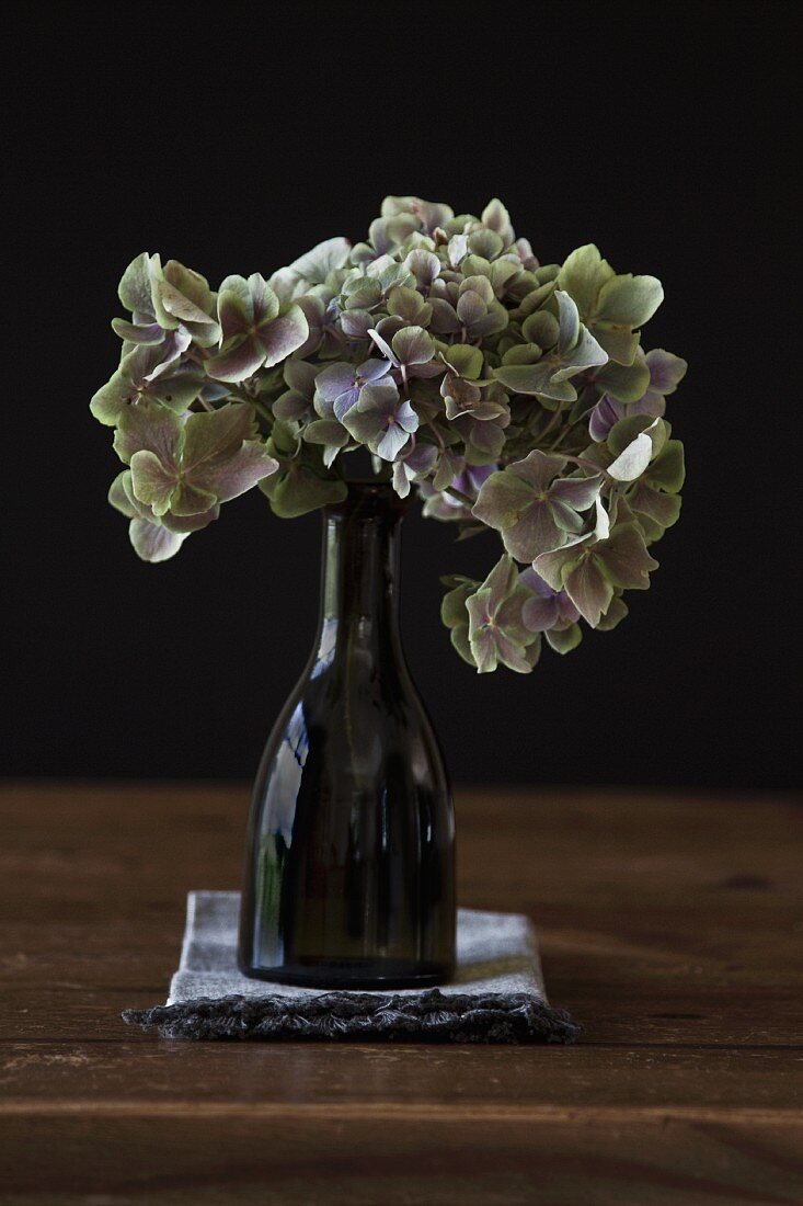 Hydrangea flowers in green bottle