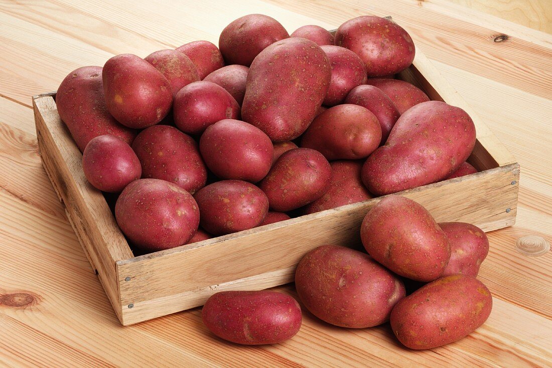 Rote Kartoffeln der Sorte Rooster in Holzkiste