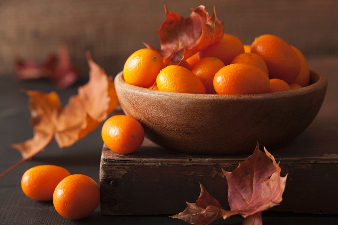 A still life featuring kumquats and autumn leaves