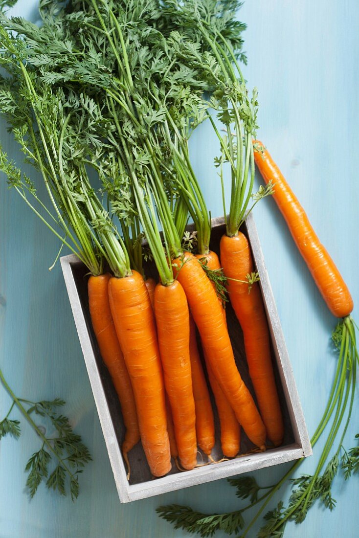 Fresh carrots in a box