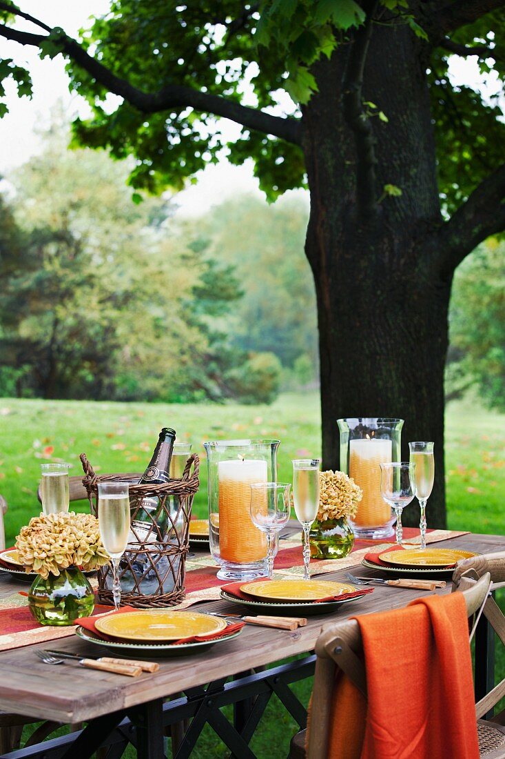 A table laid for a meal with sparkling wine and orange juice, under a tree