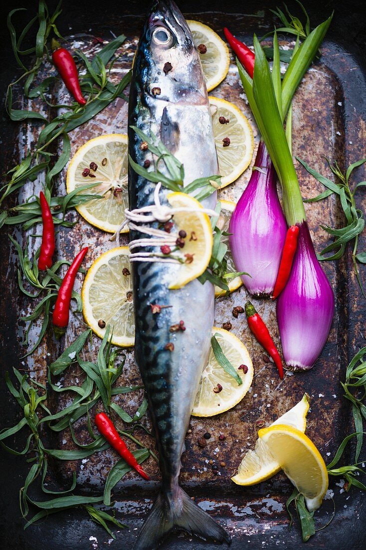 Makrele mit Estragon, Frühlingszwiebeln, Chilischoten und Zitronen (ungebraten)