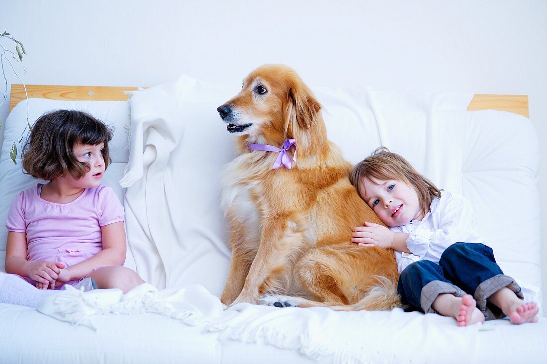 Kleine Mädchen mit Hund auf weisser Couch