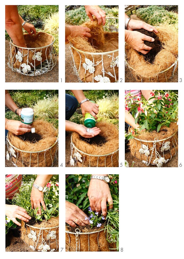 Lining a wire hanging basket with coconut fibre and planting with bedding