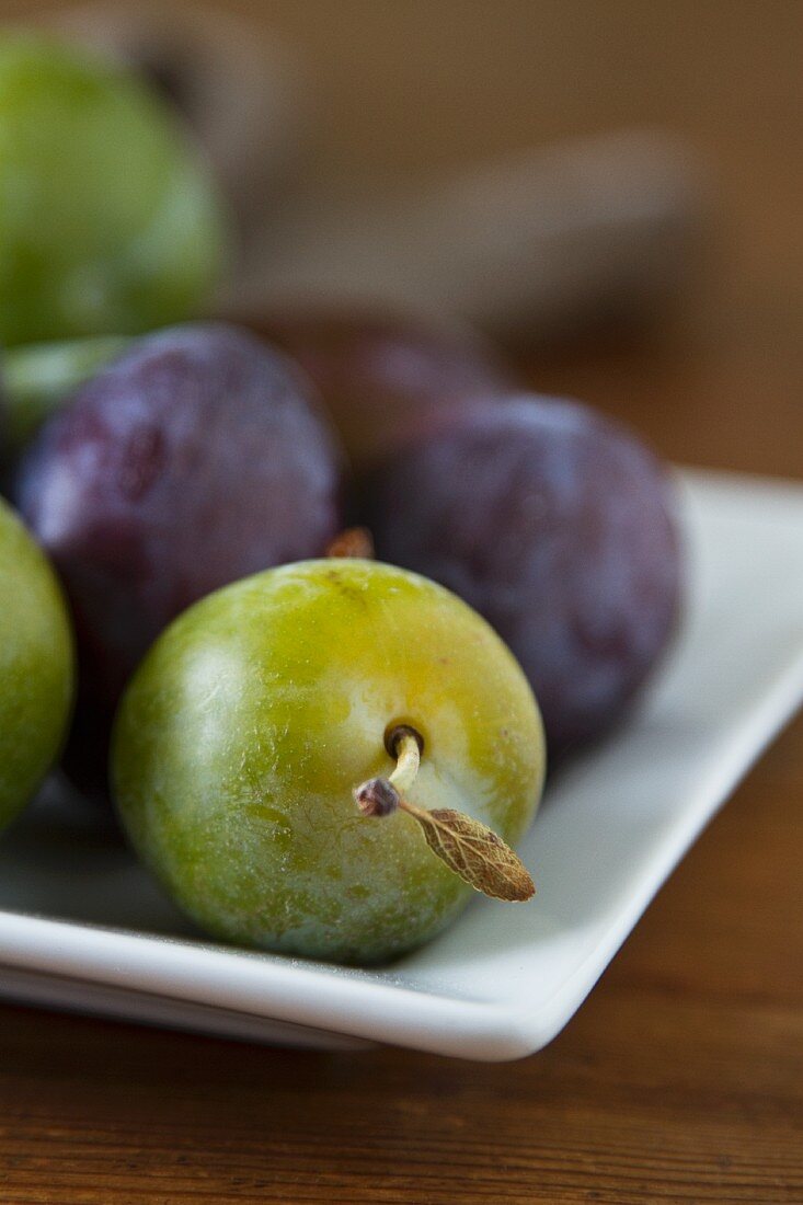 Plums and greengages on a square plate