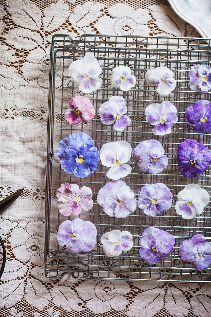 Candied Pansies and Violas