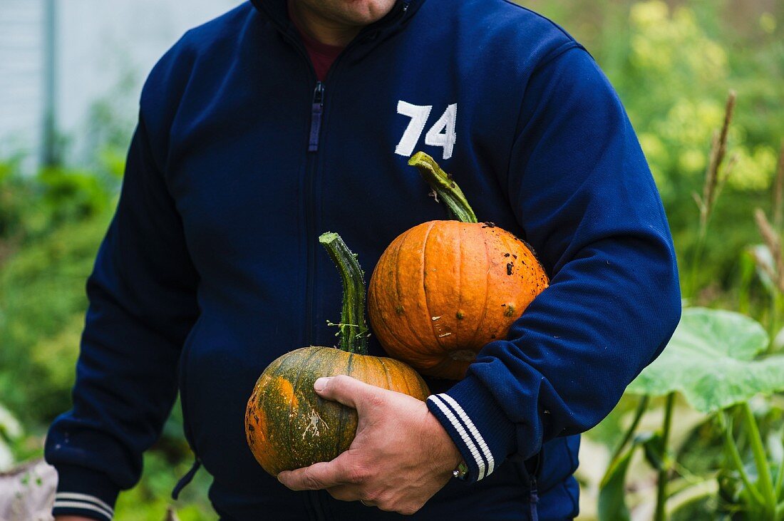 A man holding two squash in the garden