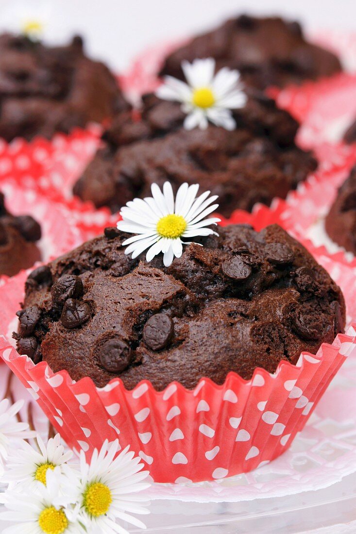 Schokoladenmuffins mit Gänseblümchen