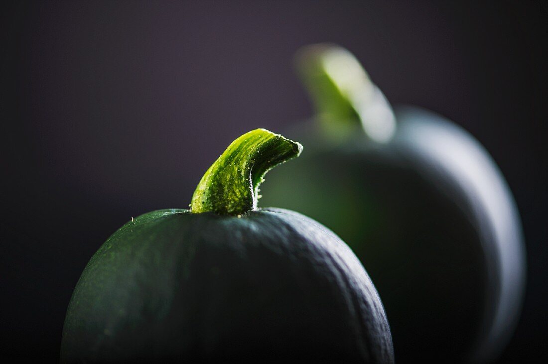 Zwei runde Zucchini (Close Up)