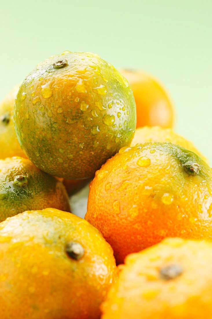 Wet mandarins