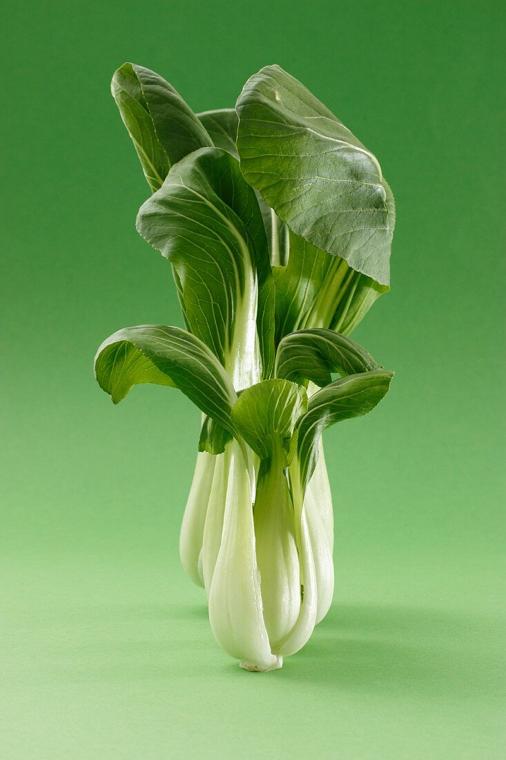 Pak Choi