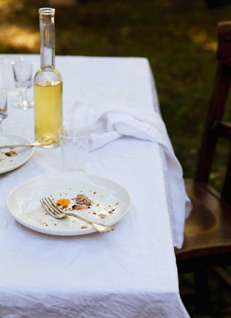 Teller mit Essensresten und Weinflasche auf Gartentisch