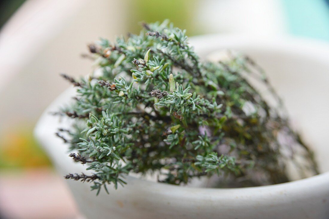 Sprigs of thyme in a bowl