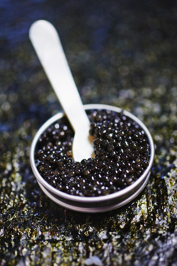 Black caviar in a small bowl with a spoon