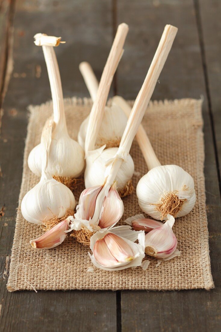 Fresh garlic on a piece of jute