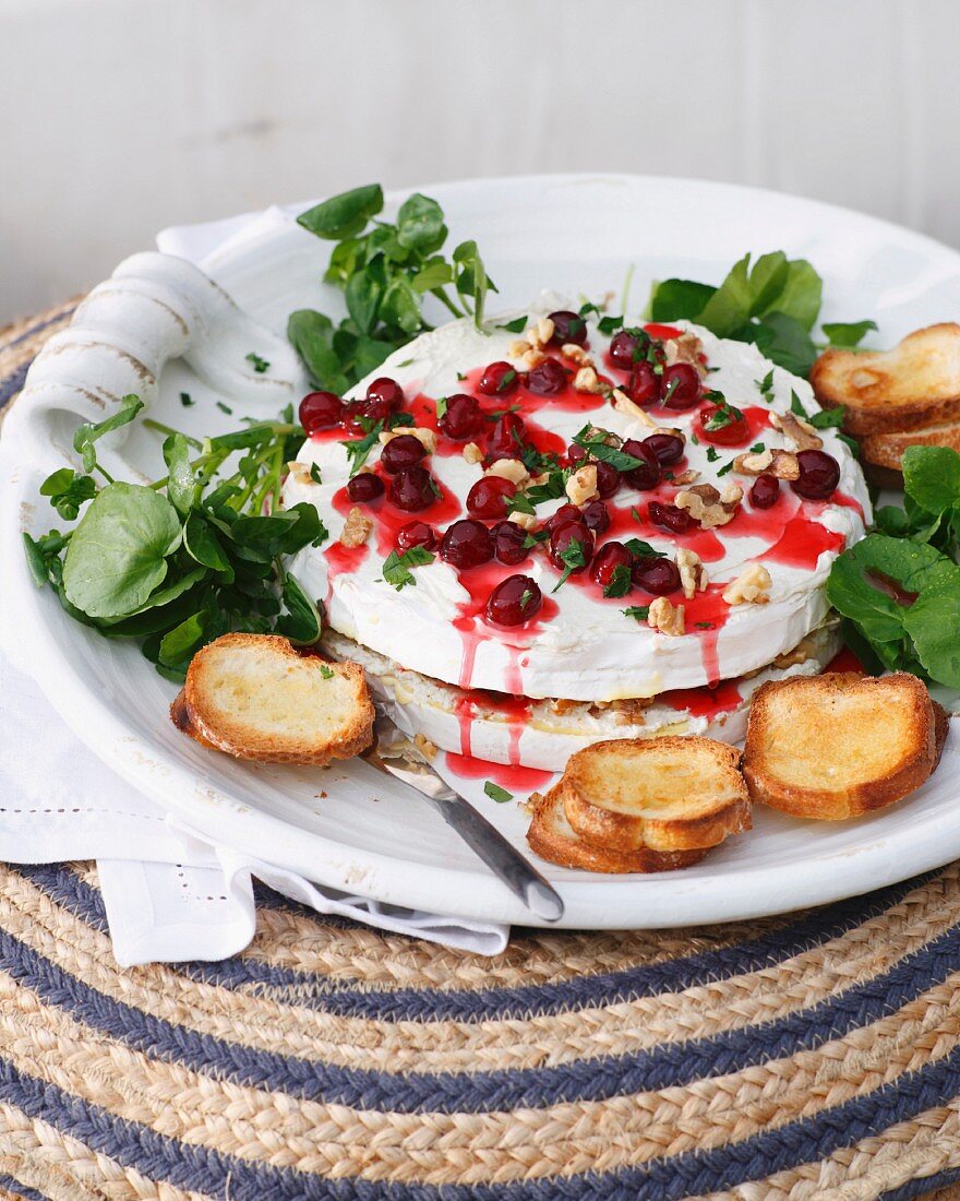 Brie-Cranberry-Käsekuchen mit Toast und Preiselbeercoulis