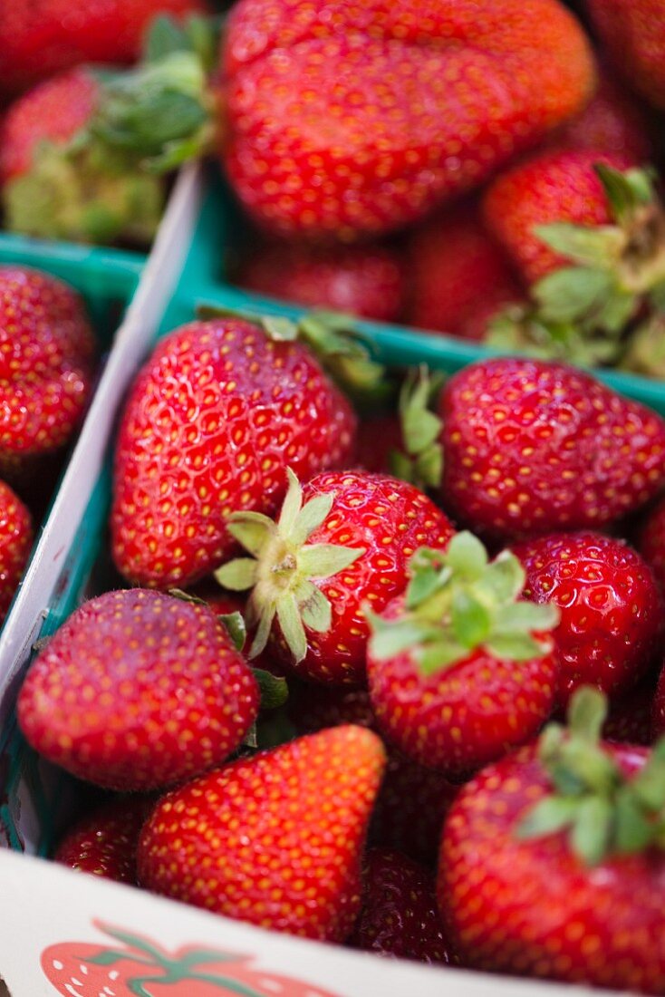 Erdbeeren in Kistchen
