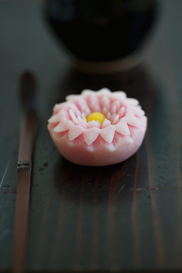 Wagashi Chrysantheme (Kiku)