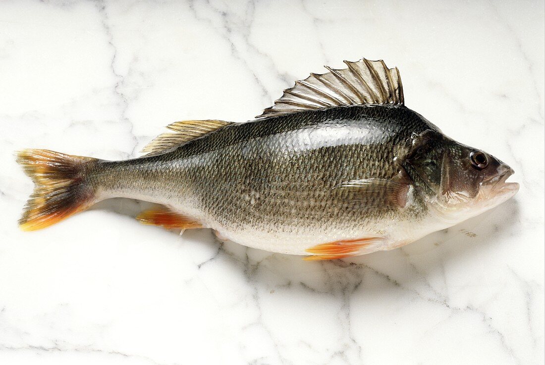 A Whole Perch