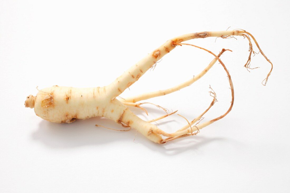 Fresh ginseng root