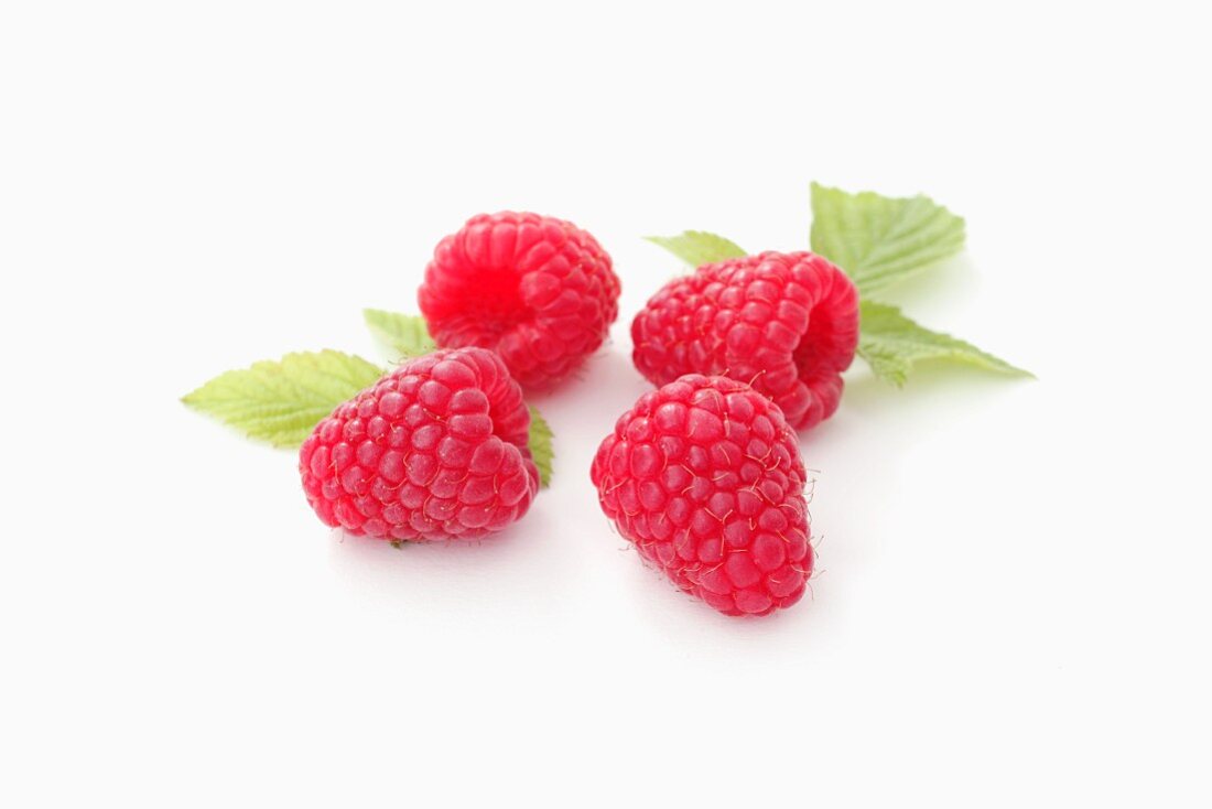 Four raspberries with leaves
