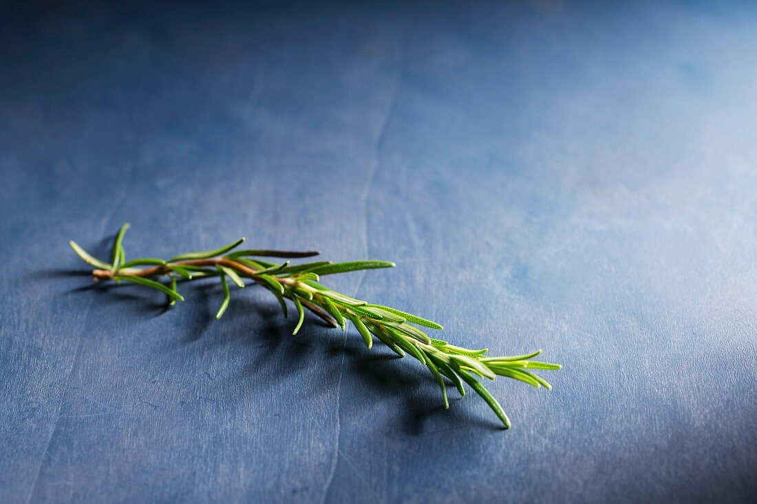 A sprig of fresh rosemary