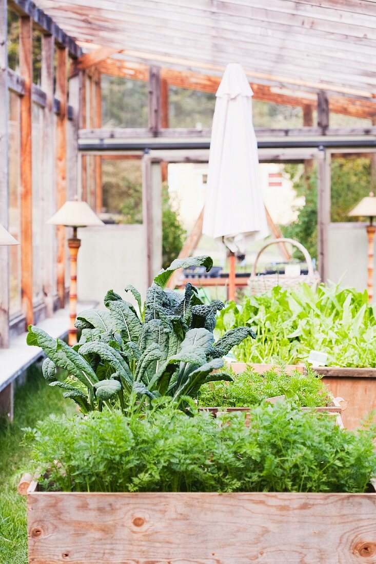 A Greenhouse with Large Planter Boxes and Decorative Lamps