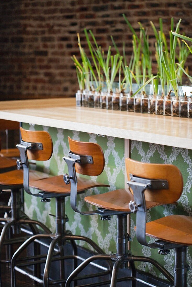 Restauranttheke mit origineller Pflanzendekoration und Drehstühlen aus Holz