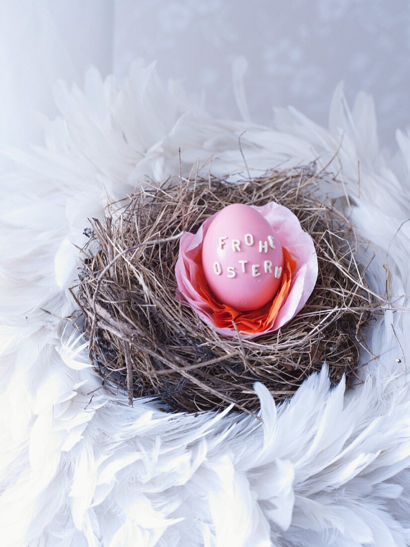 Dyed egg decorated with alphabet noodles in nest of hay and feathers