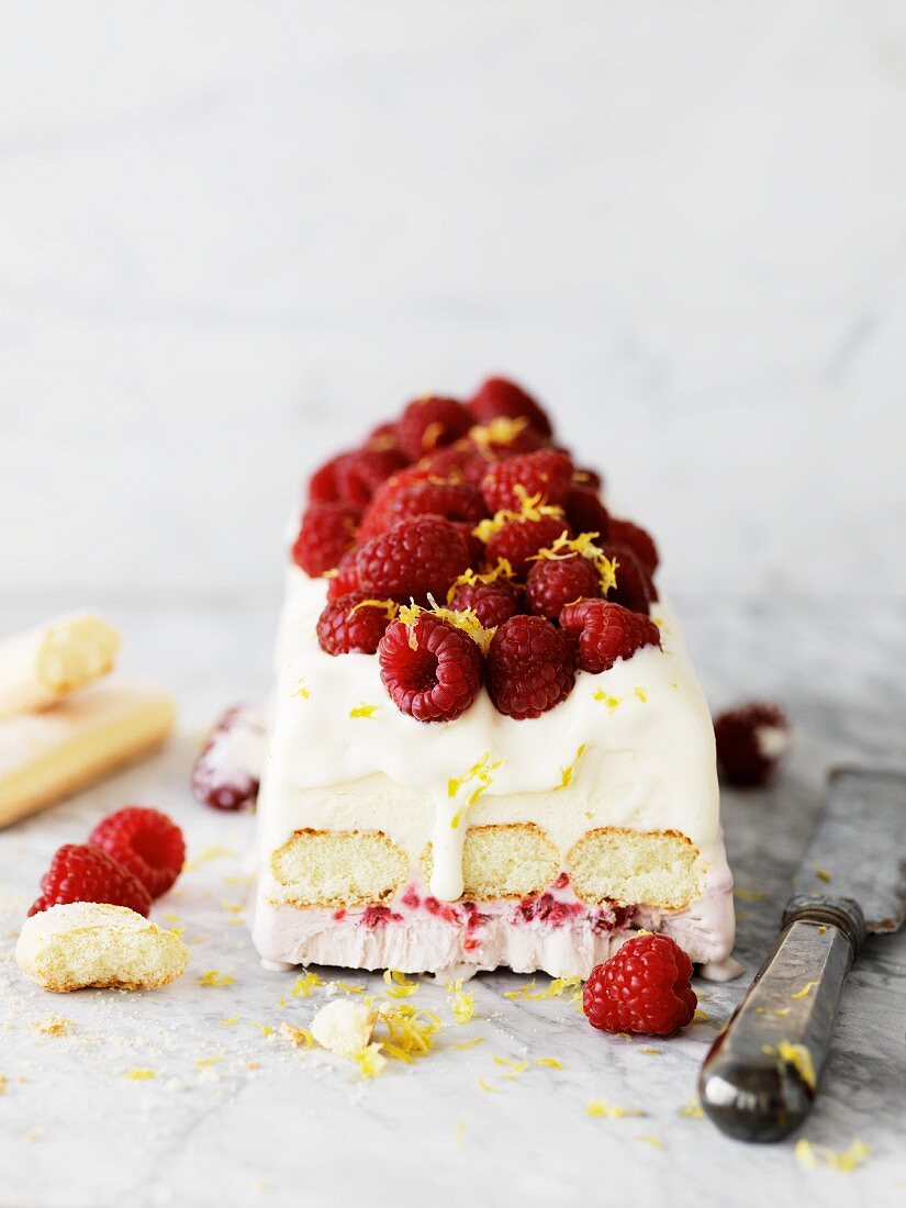 Raspberry terrine with sponge fingers