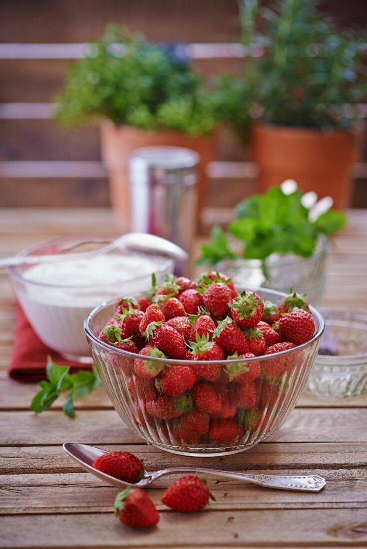 Fresh strawberries in a glass bowl, fresh herbs, cream