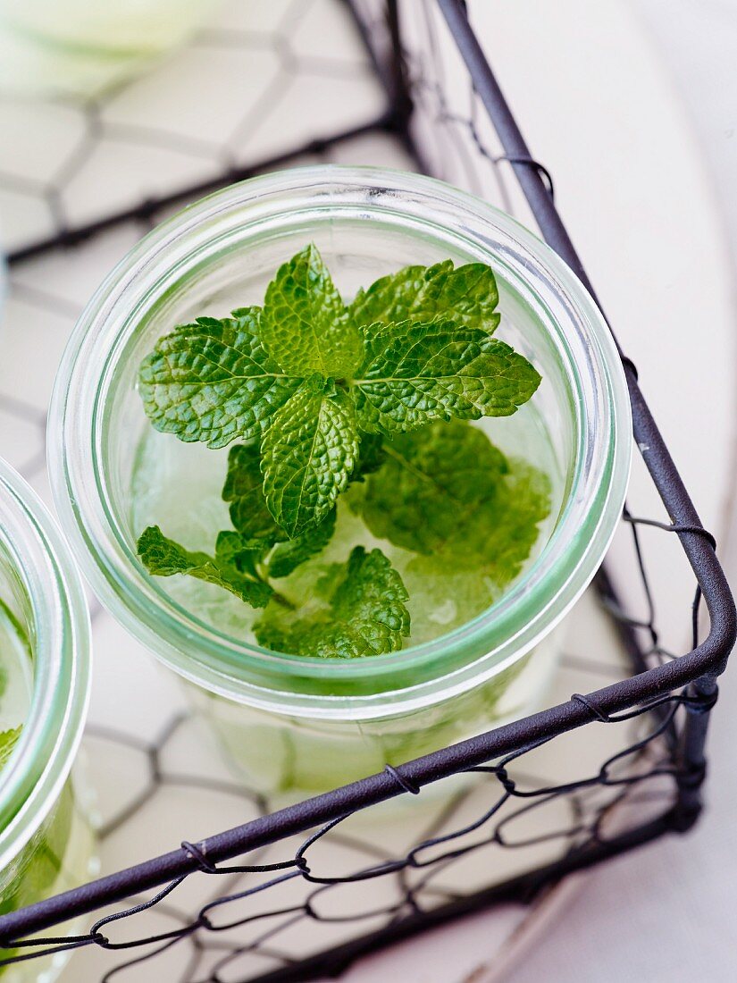 A glass of lemonade with fresh mint in a wire basket