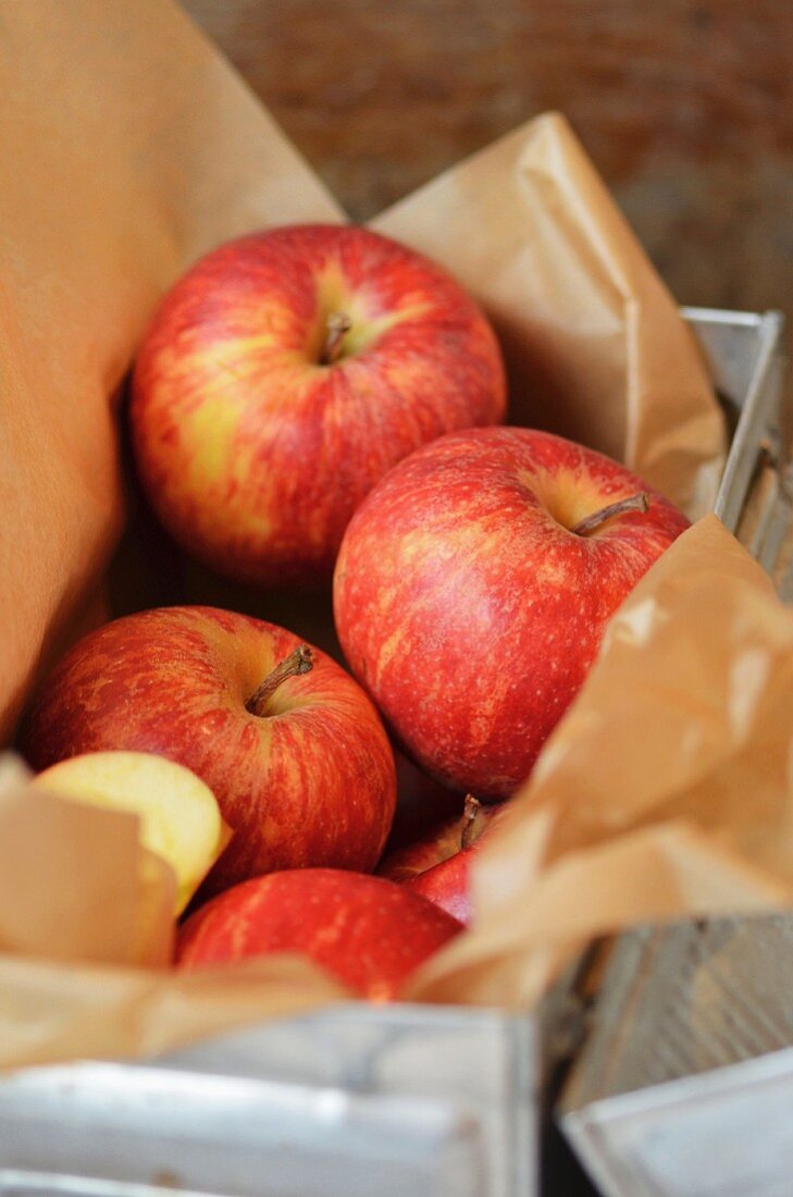 red apples wrapped in brown paper in a vintage metal lunch box