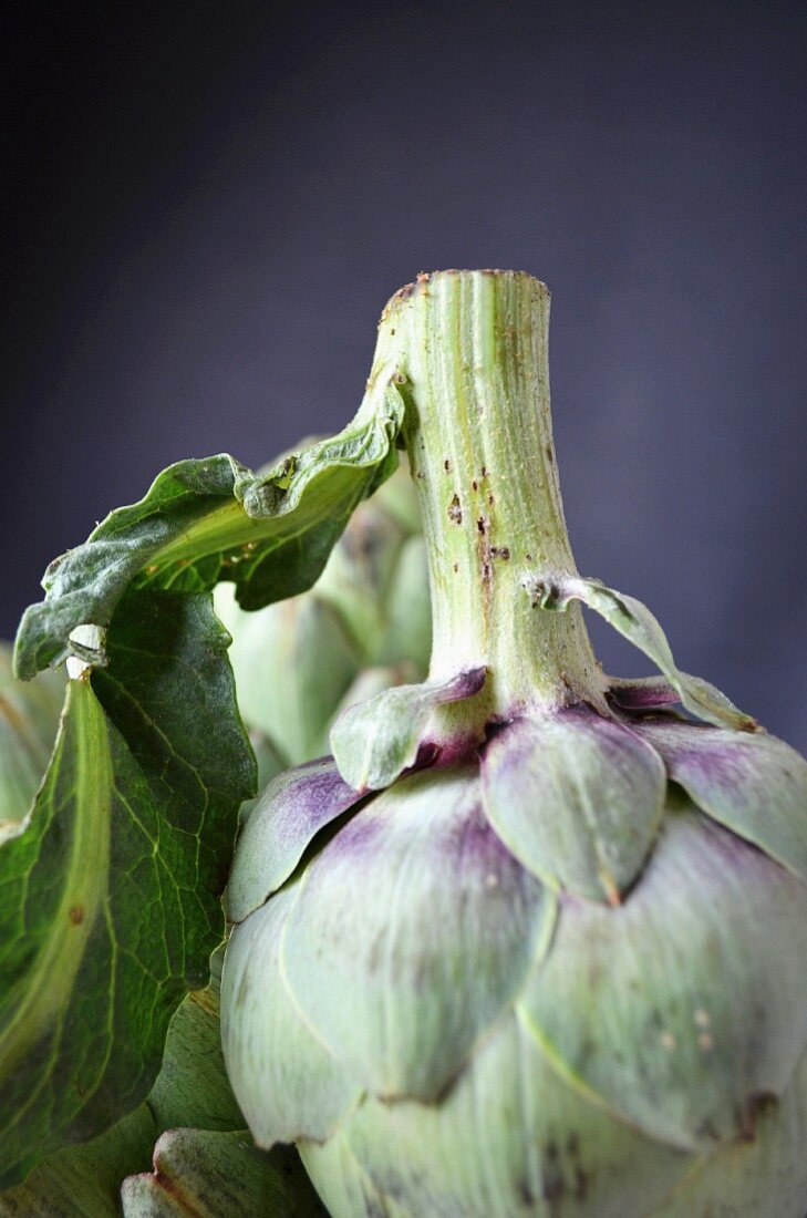 A raw globe artichoke against a dark background