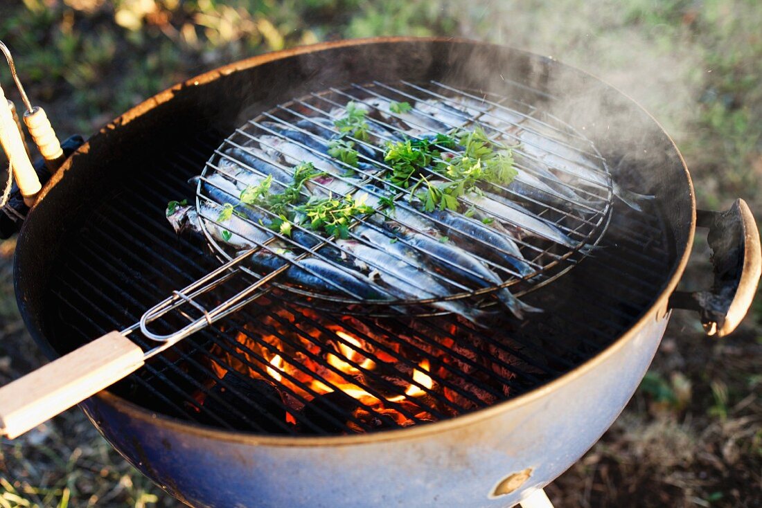 Sardinen grillen